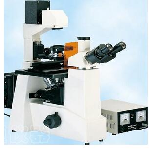 倒置荧光显微镜XDY-100