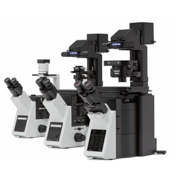 日本奥林巴斯 IX73 IX53 IX83倒置显微镜 进口