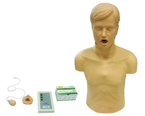 成人气道梗塞及CPR模型​KAS/CPR186