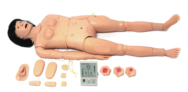 口腔护理KAS/H148（成人护理及CPR模型人）