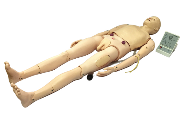 成人护理及CPR模型人KAS-H138