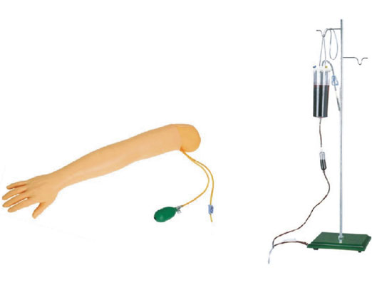 手臂动脉穿刺及肌肉注射训练模型KAS-S3