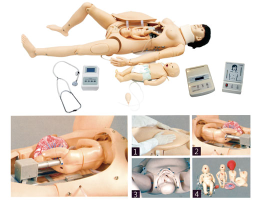 分娩与母子急救模型KAS/F55