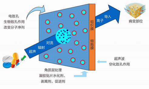 超声药物透入治疗仪１.png