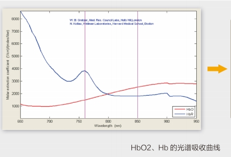 近红外脑功能成像