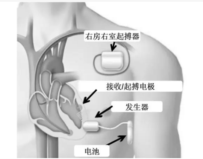 QQ截图20231206164427.png