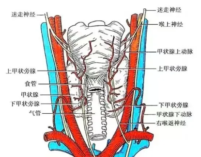 QQ截图20240531110542.png